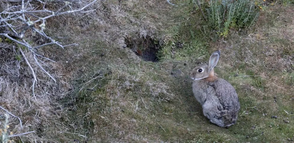 El próximo problema para Bariloche.