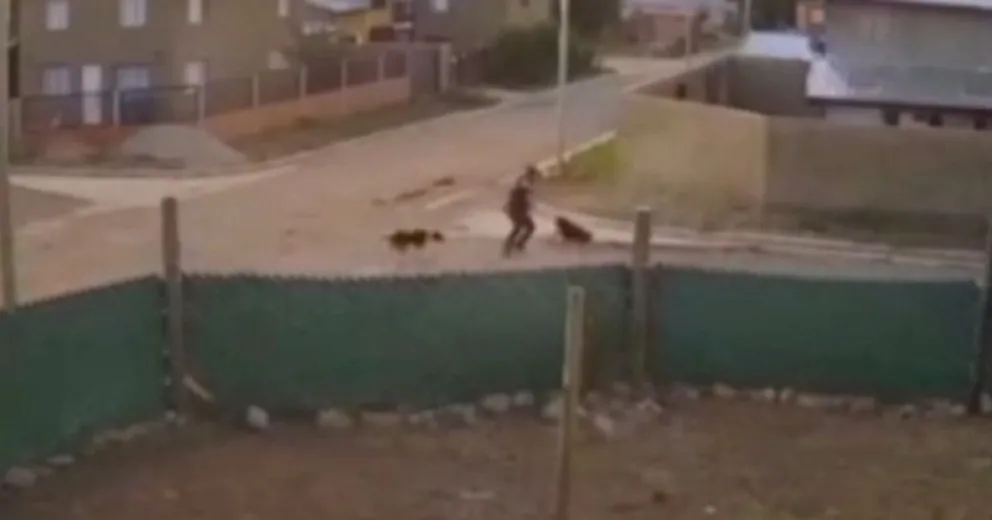 Captura de pantalla de un momento del video. 