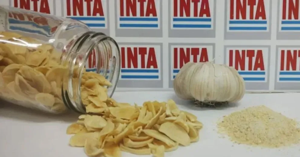 El ajo deshidratado abre un mundo de oportunidades en el valle inferior.