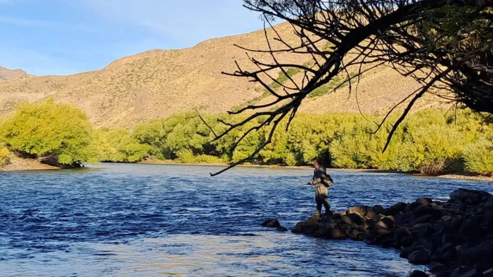 Un experto asegura que el panorama actual es ideal para pescar en el Limay (imágenes gentileza).