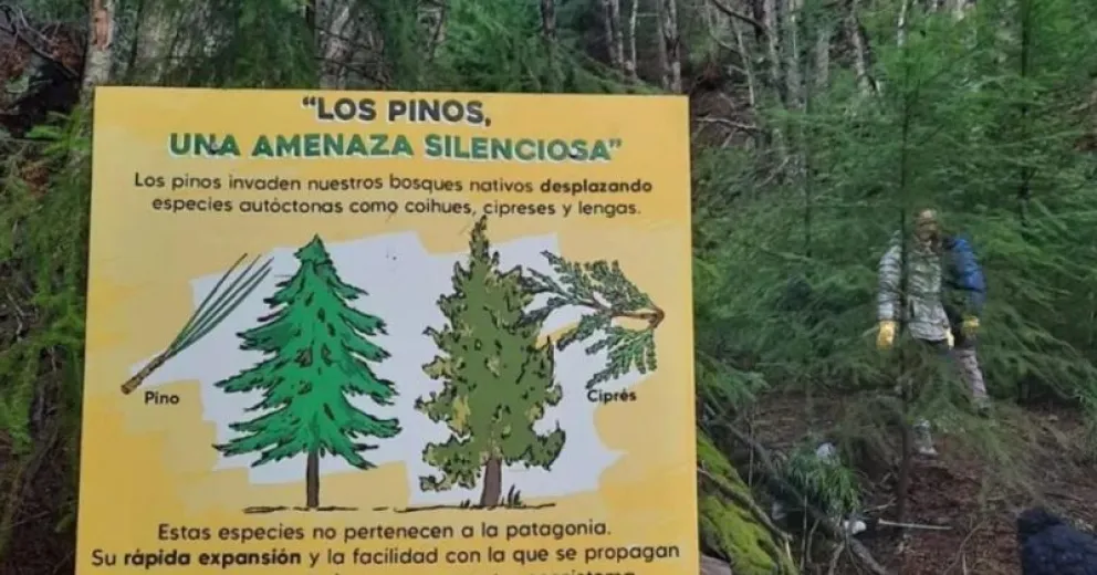 Imagen de El Extremo Sur de la Patagonia.