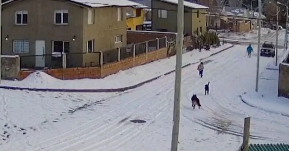 Una secuencia del video, segundos antes de ser mordido.