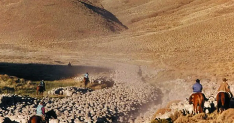 Se puede conocer cada uno de los procesos de la lana, narrado por los protagonistas.