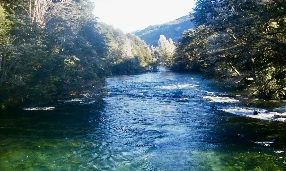 En el lugar también encontraron una caña de pescar. 