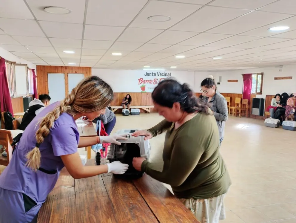 Una acción que promueve el cuidado responsable y la prevención de enfermedades.