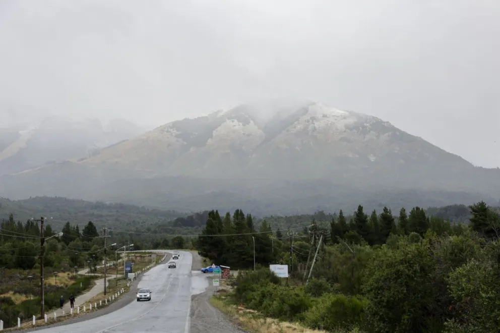 Está prohibida la presencia de cualquier animal suelto en la vía pública. Foto ilustrativa de Eugenia Neme.