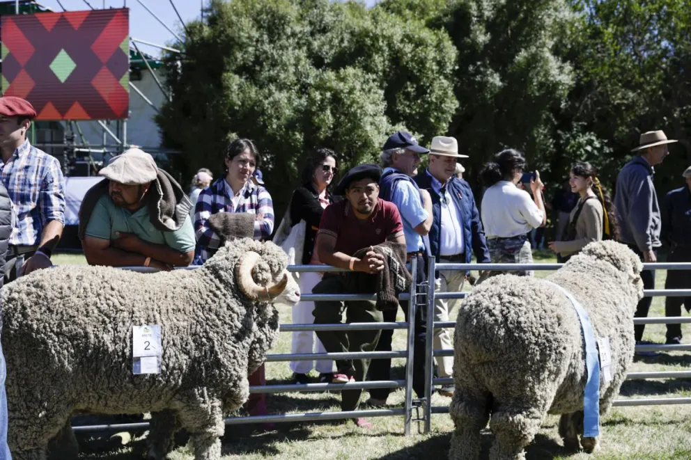 Los productores están preocupados por la problemática (fotos: Eugenia Neme).