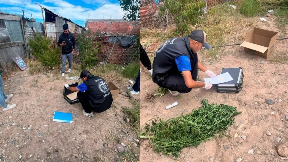 El hombre quedó detenido y a disposición de la Justicia, acusado por agresiones, amenazas y tenencia de estupefacientes / Foto Diario Jornada