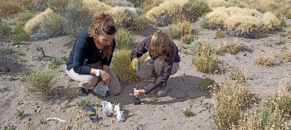 Las especialistas trabajando en el lugar tomando muestras. 