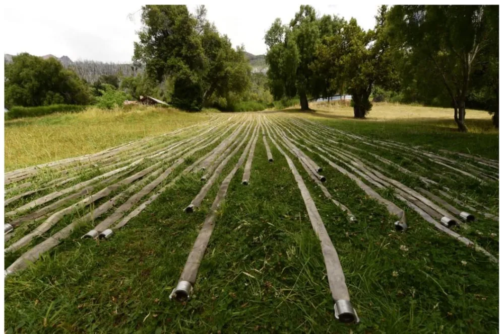La necesidad de comenzar a pensar en volver a reforestar lo perdido en el fuego. 