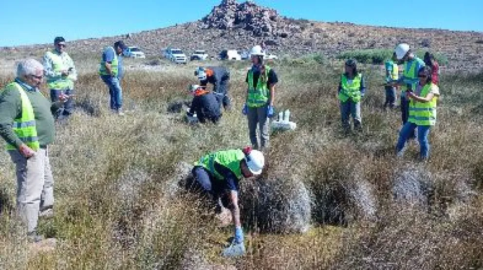 La Provincia reafirma su compromiso con los controles, la trazabilidad y el acceso a la información.Crédito: Gobierno de Río Negro
