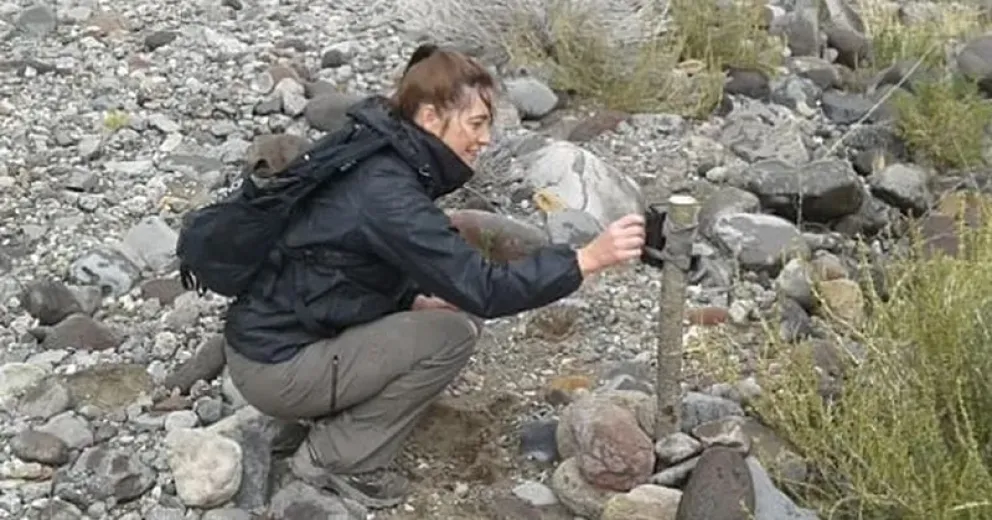 Luciana Piudo es una de las técnicas que trabaja en un manejo integrado para frenar una invasión que afecta campos, bosques y economías regionales.