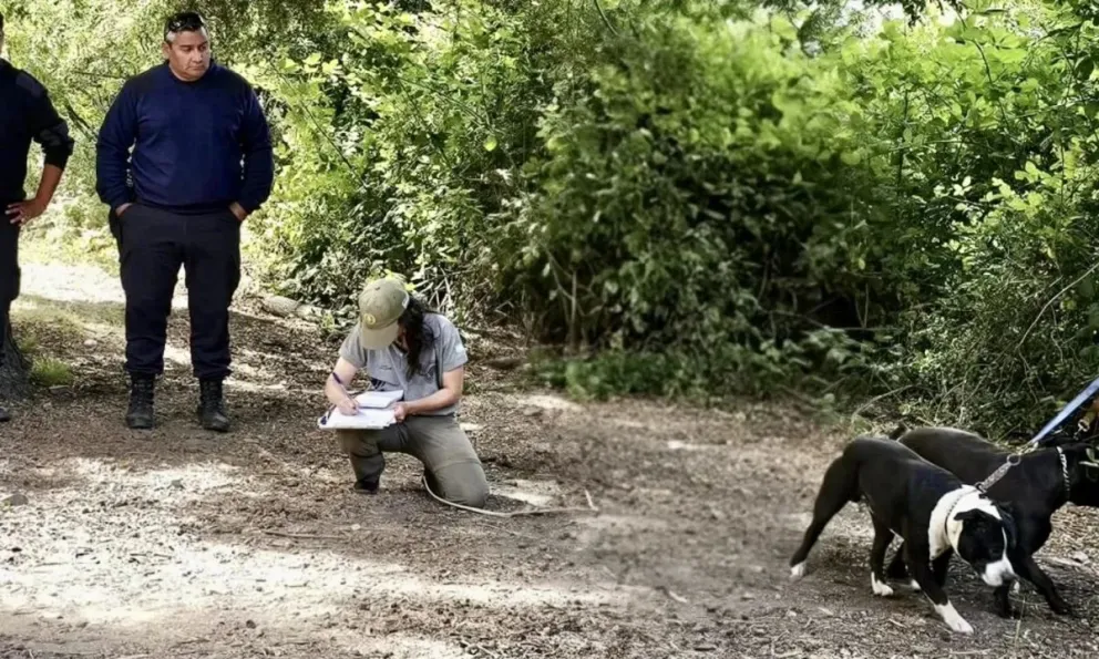 Las multas son muy altas. Foto: Parque Nacional Nahuel Huapi. 