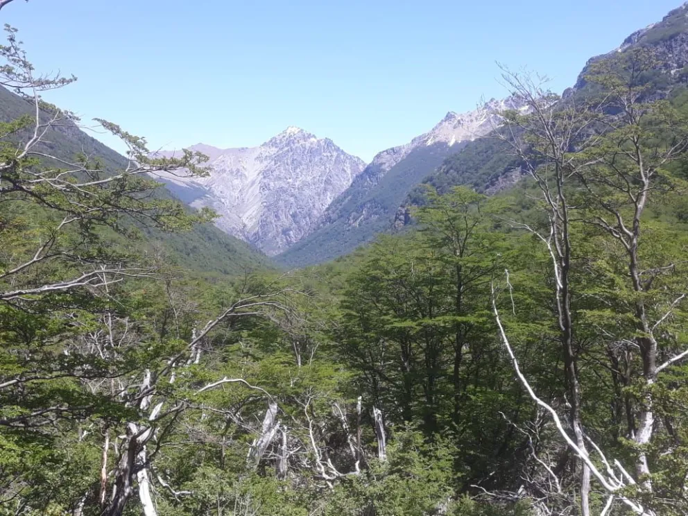 Vista del cerro Serrucho desde Los Repollos, a unos 20 kilómetros de El Bolsón. 