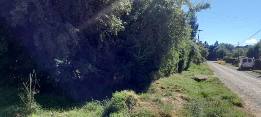 Uno de los lugares donde se ocultan los vándalos para realizar ataques. 