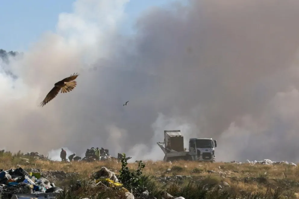 Operativo con personal y maquinaria pesada. Foto Eugenia Neme.