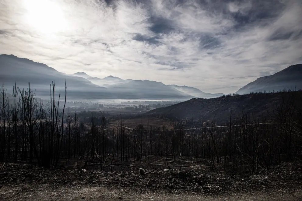Antiguamente, la devastación que seguía a los incendios no era mal recibida del todo. Foto: Eugenia Neme.