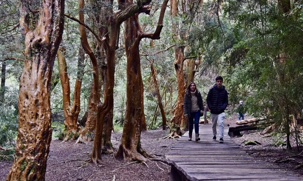 Parque Municipal Llao Llao 
