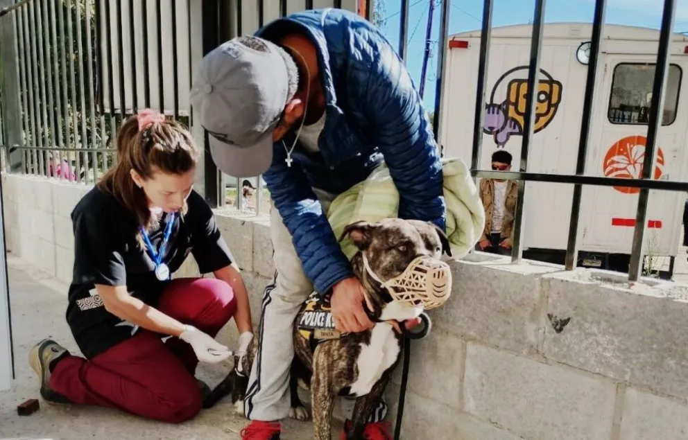 El programa municipal busca garantizar acceso gratuito y fortalecer la tenencia responsable en todos los barrios.