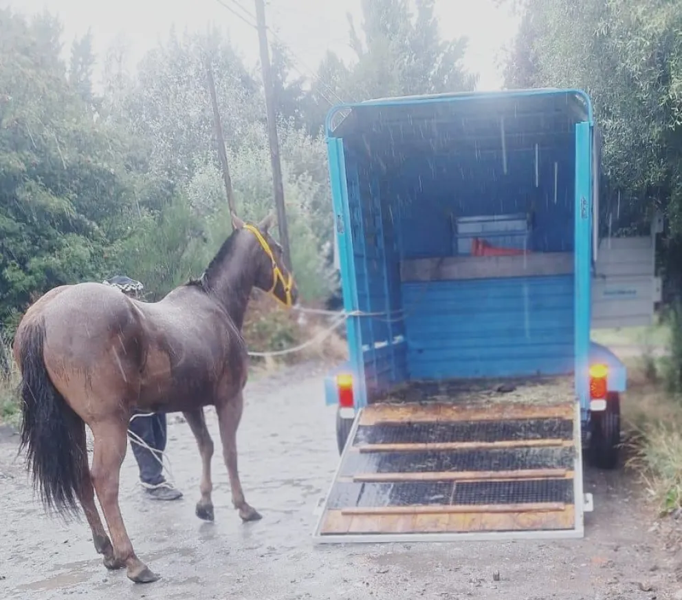 El operativo se llevó adelante de manera conjunta con la Comisaría 27. 