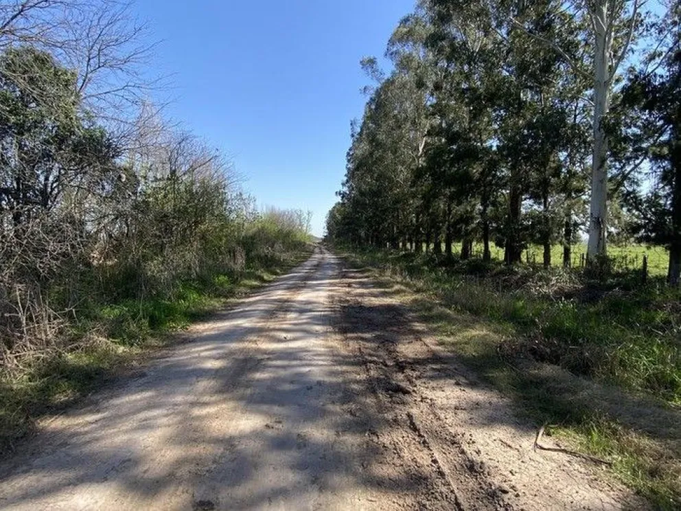 Ocurrió en la localidad de Abra Pampa. (Imagen ilustrativa)
