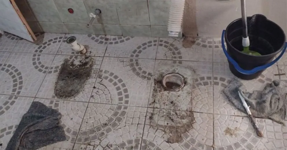 Todos son en la misma zona de El Bolsón.