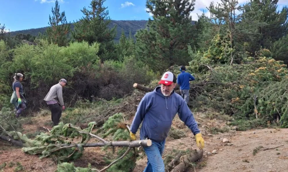 Vecinos e instituciones juntos en la tarea de controlar la especie invasora. Fotos gentileza. 