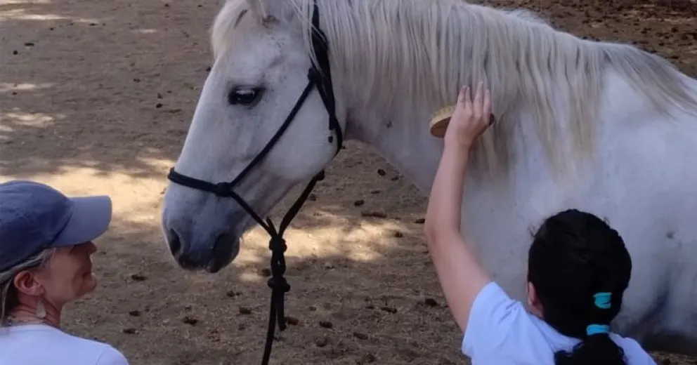 Piden el acompañamiento de la comunidad. 