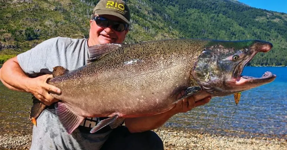 El ejemplar que fue capturado.