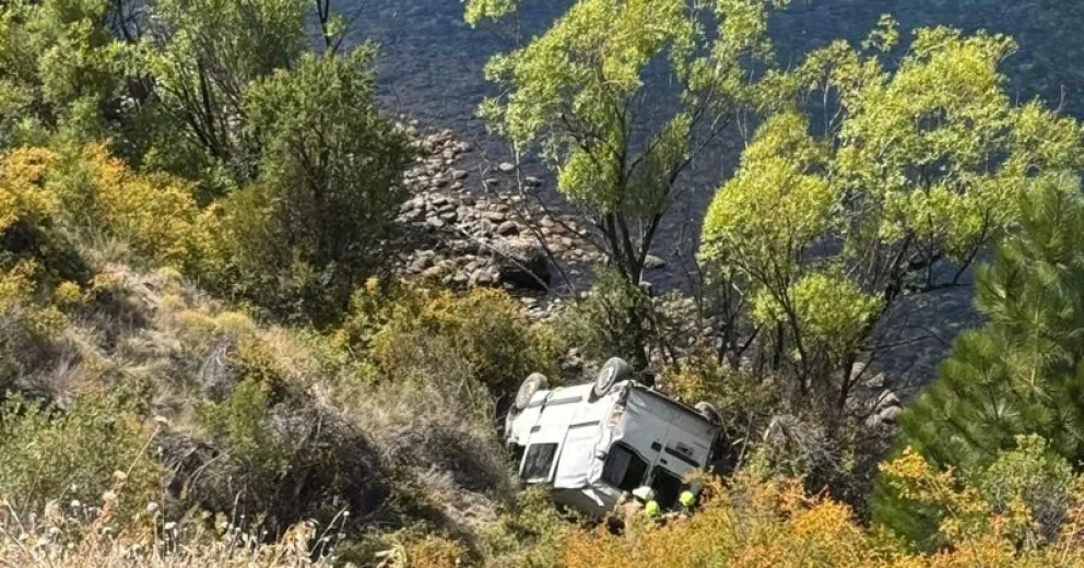 Afortunadamente el vehículo fue frenado por los árboles.