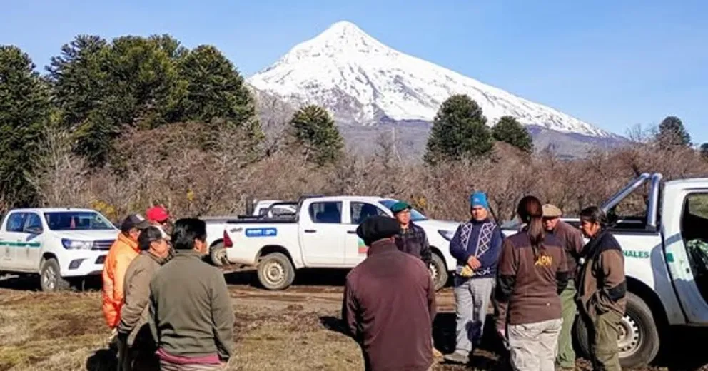 Estas acciones representan un paso fundamental para la restauración ecológica.