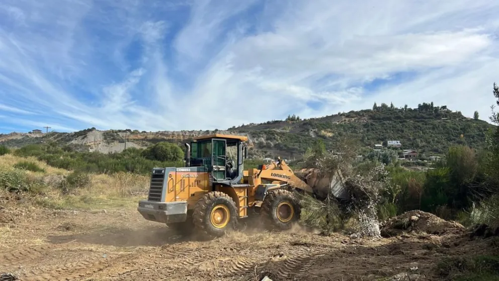 Los primeros trabajos consisten en la limpieza del área y preparación del terreno