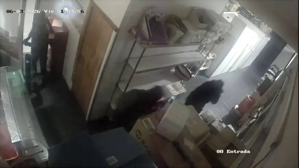 Así ingresaban los delincuentes a una panadería de Dina Huapi. Golpearon a un empleado y se llevaron un vehículo.