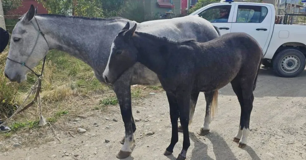 Una irresponsabilidad que genera riesgos.