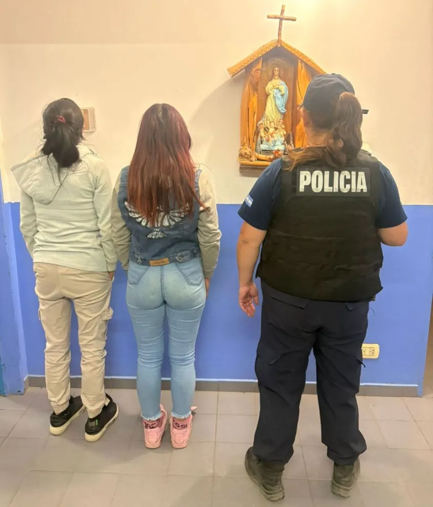 Dos detenidas por robar productos de limpieza que escondieron entre sus prendas. 