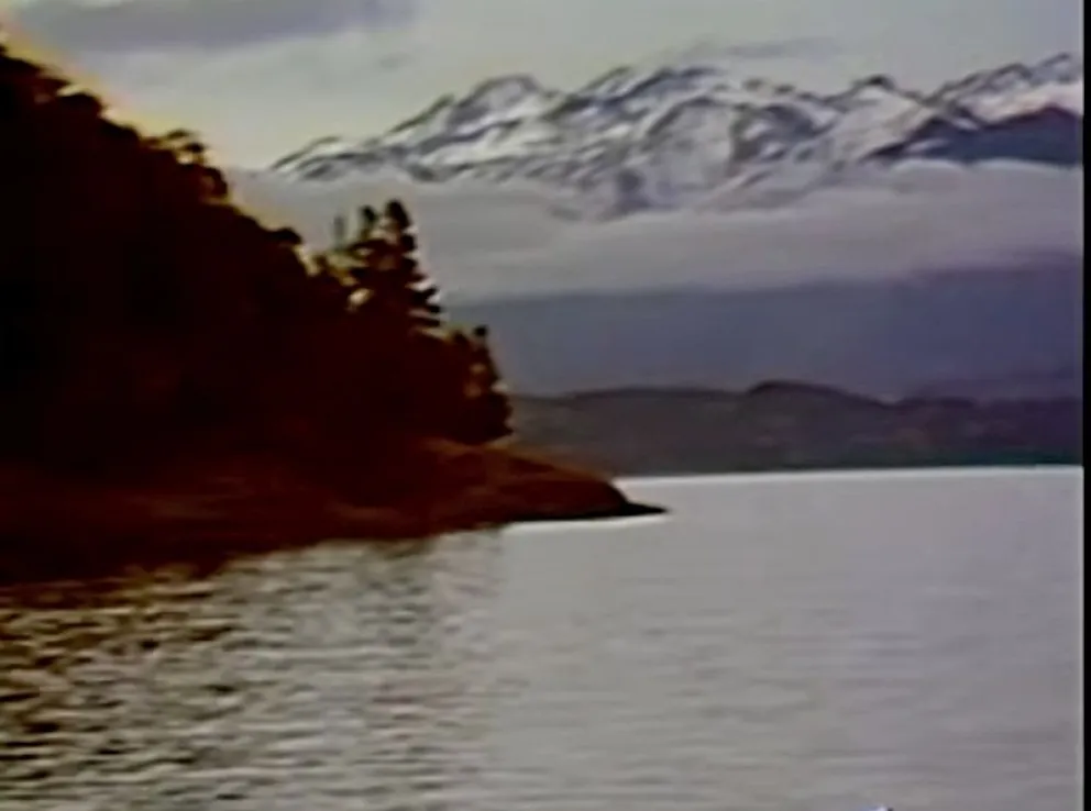 Las imágenes pudieron ser digitalizadas días atras. 