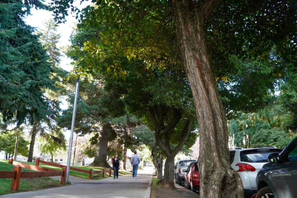 El estudio permitió identificar las especies presentes. Fotos: Facundo Pardo. 