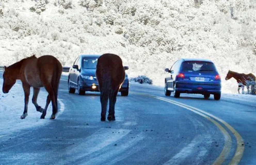 Una constante que produce accidentes. Imagen ilustrativa.