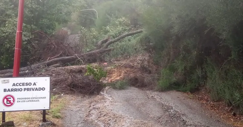 La medida fue tomada de manera preventiva.