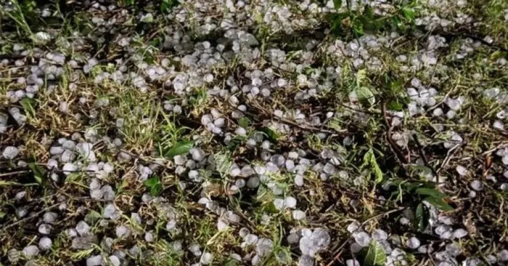 El granizo causó daños en diferentes ciudades rionegrinas.