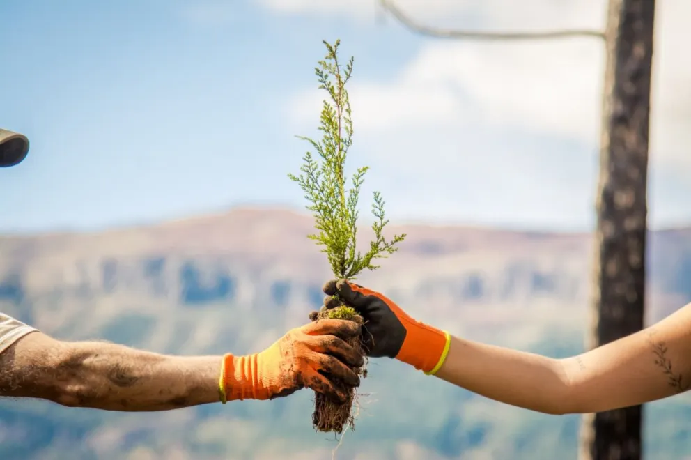 Invitan a sumarse. Fotos Circuito Verde.