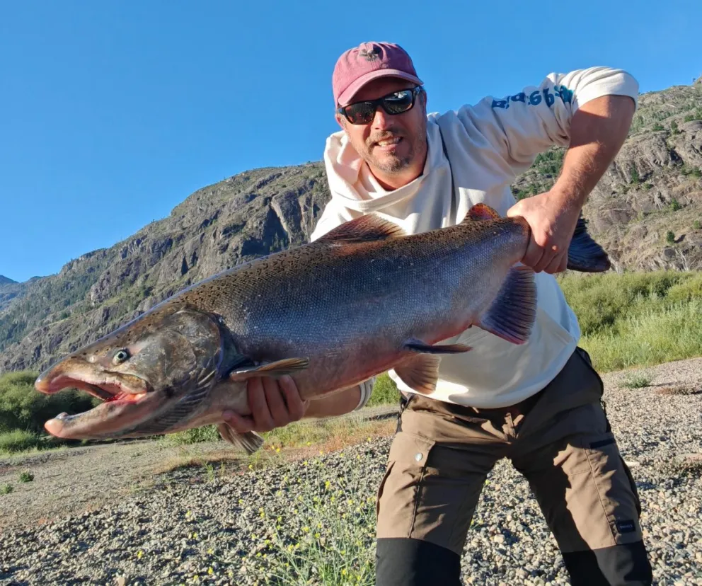 Uno de los ejemplares capturados en Chubut.