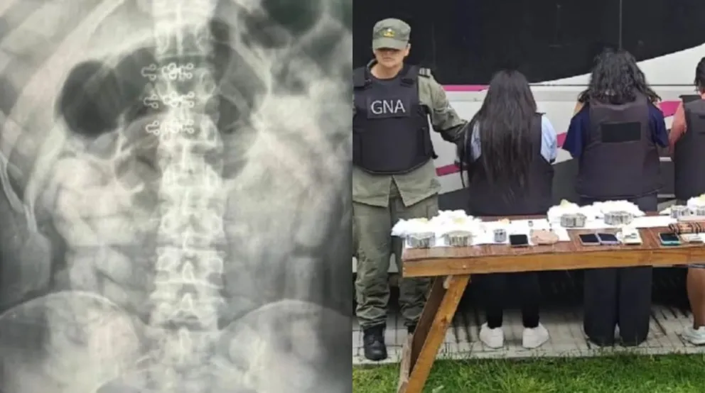 La provincia de Mendoza era el destino final del viaje.