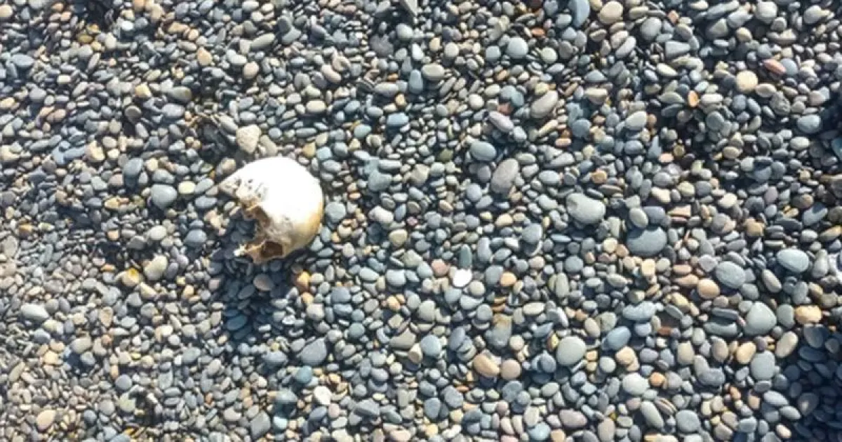 Encontraron un cráneo humano en la costanera de Comodoro Rivadavia e investigan el caso