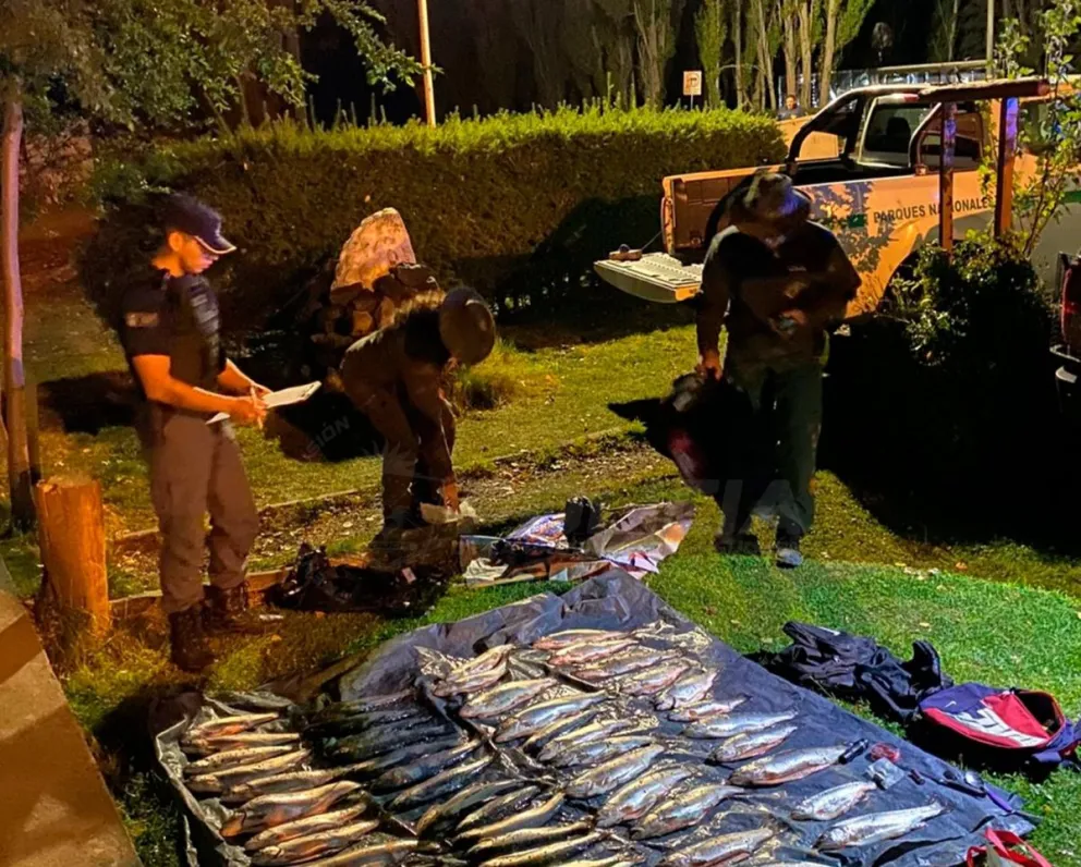 Policía de Neuquén y Parques Nacionales trabajaron en el operativo de secuestro de las piezas. 
