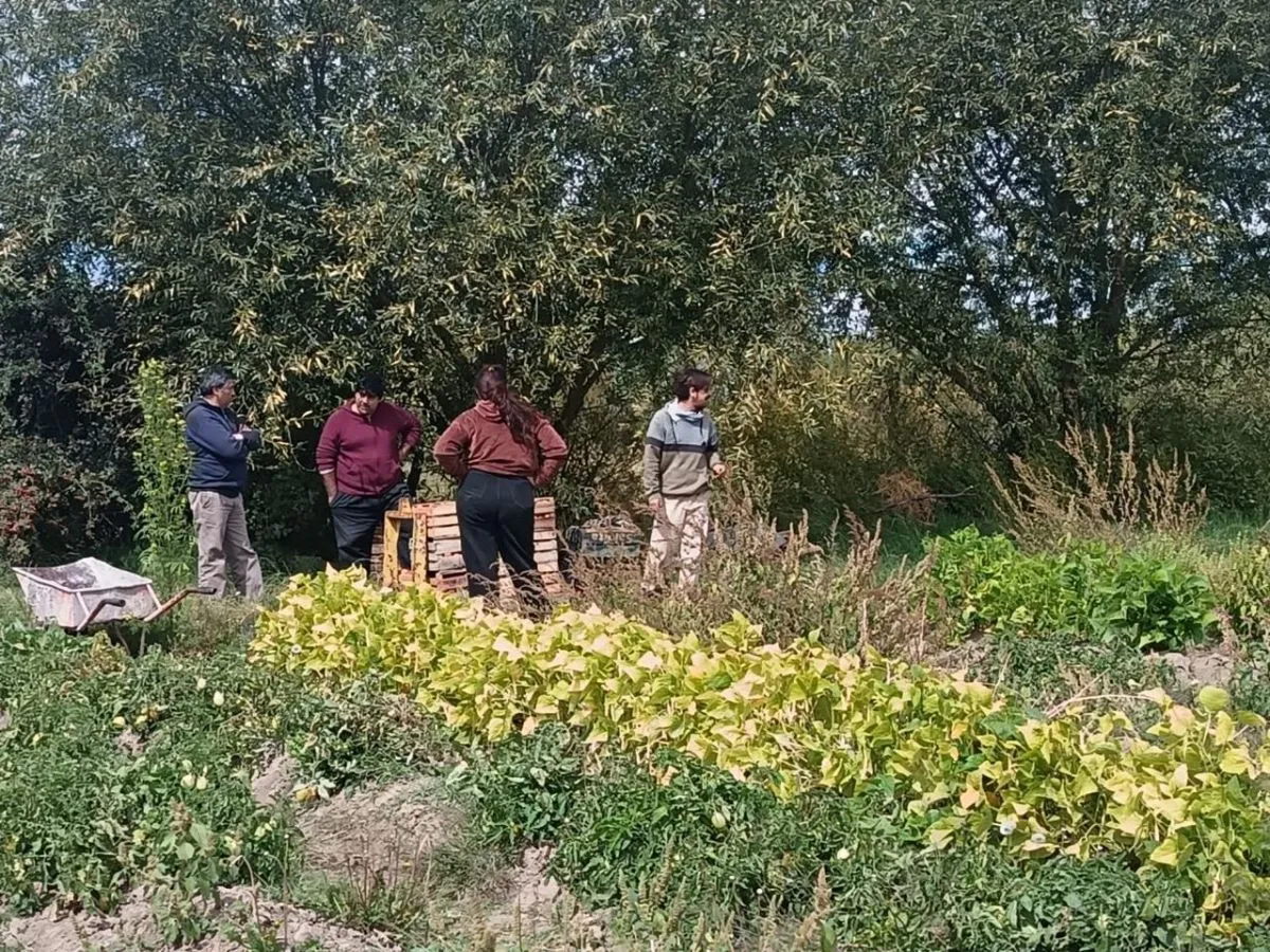 Hoy el Mercado Comunitario vende bolsones de frutas y verduras a $10.000
