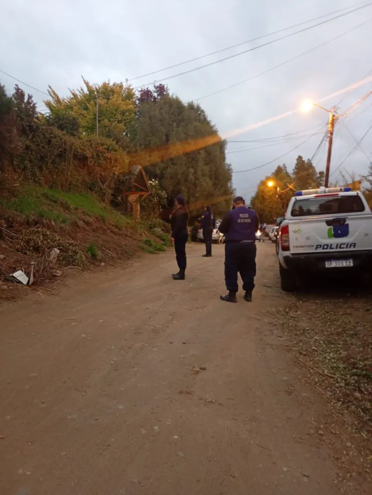 Allanaron cinco departamentos y encontraron una plantación de marihuana. 