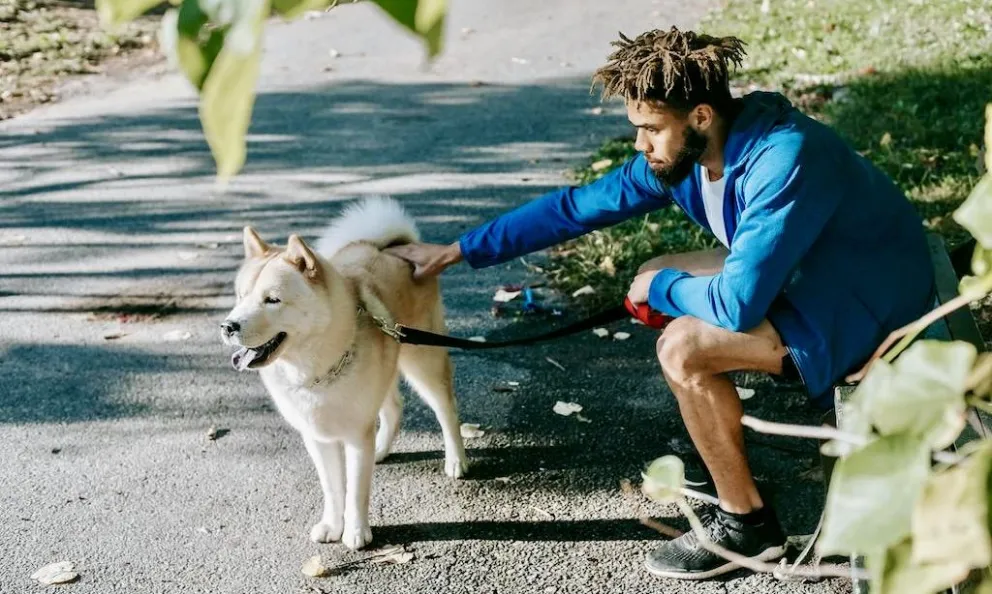 El ejercicio regular mejora la salud cardiovascular del perro