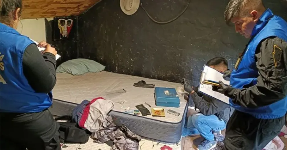 Encontraron plantas de marihuana y cocaína.