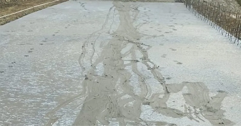 Hechos delictivos que no tienen explicación.